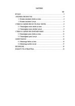 Referāts 'Ziņojums par atbalsta formām organizāciju attīstībai un dzīvotspējai', 2.