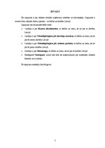 Referāts 'Ziņojums par atbalsta formām organizāciju attīstībai un dzīvotspējai', 3.