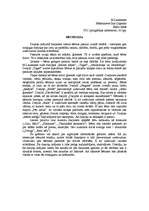 Eseja 'M.Laukmane "Āboli bolās"', 1.