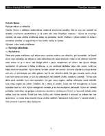 Eseja 'Konspekti filosofijā par viduslaiku un renesanses domātājiem', 7.