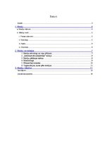 Referāts 'Mediju socioloģija', 2.