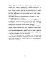 Referāts 'Komandfaili (.bat)', 17.