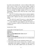 Referāts 'Komandfaili (.bat)', 22.