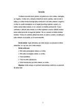 Referāts 'Krāsu terapija', 5.