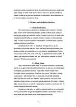 Referāts 'Krāsu terapija', 8.