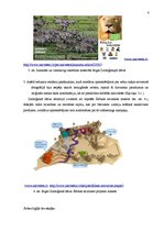 Referāts 'Latvijas Kultūras koledžas studentu dalība uzlīmju krāšanas kampaņās', 8.