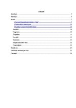 Referāts 'Leksikas īpatnības Laimas Muktupāvelas romānā "Cilpa"', 2.