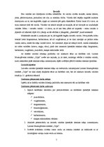 Referāts 'Leksikas īpatnības Laimas Muktupāvelas romānā "Cilpa"', 5.