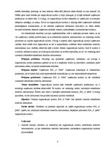 Diplomdarbs 'Sabiedrisko attiecību instrumenti SIA "6.prāts" organizācijas kultūras veidošanā', 6.
