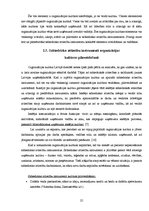 Diplomdarbs 'Sabiedrisko attiecību instrumenti SIA "6.prāts" organizācijas kultūras veidošanā', 25.