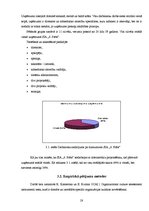 Diplomdarbs 'Sabiedrisko attiecību instrumenti SIA "6.prāts" organizācijas kultūras veidošanā', 28.