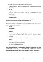 Diplomdarbs 'Sabiedrisko attiecību instrumenti SIA "6.prāts" organizācijas kultūras veidošanā', 44.