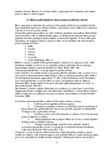 Diplomdarbs '5 - 6 gadu vecu bērnu radošās darbības veicināšana vizuālās mākslas nodarbībās p', 11.