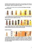 Biznesa plāns 'Solāriju salons', 7.