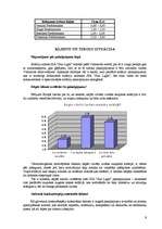 Biznesa plāns 'Solāriju salons', 9.