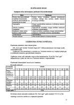 Biznesa plāns 'Solāriju salons', 13.