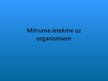 Prezentācija 'Mitruma ietekme uz organismiem', 1.