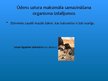Prezentācija 'Mitruma ietekme uz organismiem', 19.