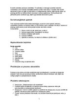 Biznesa plāns 'Biznesa plāns', 5.