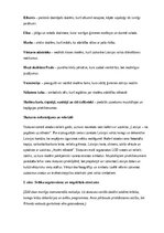 Paraugs '18. novembra svētku scenārijs skolā', 2.
