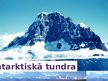 Prezentācija 'Tundra', 5.