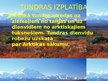 Prezentācija 'Tundra', 6.