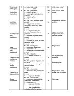 Paraugs 'Sporta stundas konspekts 4.klasei akrobātikā', 2.