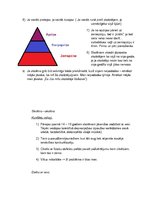 Konspekts 'Pozitīva modeļa "skolēns-skolēns" un "pedagogs-skolēns" izveides principi', 2.