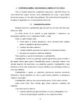 Referāts 'Uzņēmējdarbība krīzes apstākļos', 6.