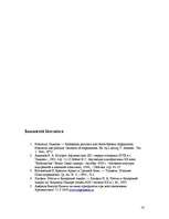 Referāts 'Afganistānas politiskā sistēma', 14.