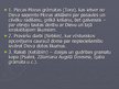 Prezentācija 'Senebreju civilizācija', 12.