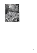 Referāts 'Viduslaiku medicīna', 28.