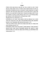 Konspekts 'Valūtas pozīcijas', 3.