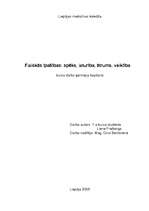 Referāts 'Fiziskās īpašības - spēks, izturība, ātrums un veiklība', 1.