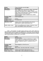 Referāts 'Vai Jūs zināt, kas ir e-bizness', 11.