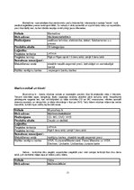 Referāts 'Vai Jūs zināt, kas ir e-bizness', 12.