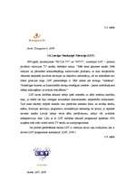 Referāts 'Zīmolu attīstība pasaulē un Latvijā', 13.