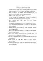 Referāts 'Zīmolu attīstība pasaulē un Latvijā', 21.