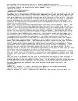 Eseja 'Operational Motivation Plan Paper', 2.