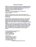 Konspekts 'Filosofijas pamati. Antīkā filosofija', 5.