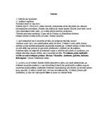 Konspekts 'Filosofijas pamati. Antīkā filosofija', 6.