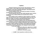 Konspekts 'Filosofijas pamati. Antīkā filosofija', 7.