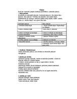 Konspekts 'Filosofijas pamati. Antīkā filosofija', 10.