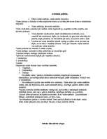 Konspekts 'Filosofijas pamati. Antīkā filosofija', 15.