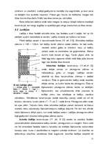 Referāts 'Balkoni, lodžijas, erkeri', 13.