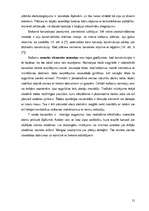 Referāts 'Balkoni, lodžijas, erkeri', 21.