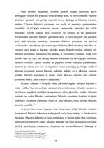 Referāts 'Ministru prezidenta pilnvaras', 15.