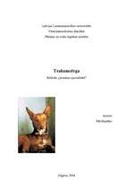Referāts 'Trakumsērga', 1.