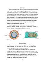 Referāts 'Trakumsērga', 5.