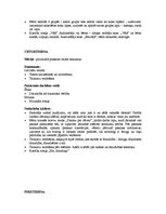 Konspekts 'Es un pasaule rudenī', 4.